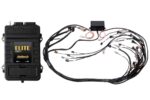 Haltech Elite 2500 GM GEN IV LS2 non DBW Term Harn Kit EV1