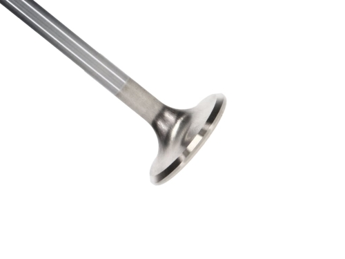 31178499-737A-DFF9-E93B-CAF751C616D0 Manley Ford 427 Exhaust Valve Kit 1.750 x 5426 x .3705 - Image 1