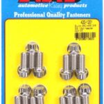 "Buick 350-455 3/8"" SS 12pt header bolt kit"