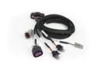 Haltech Nexus Plug-in IO Expansion Harness 2.5m (8') - Image 2