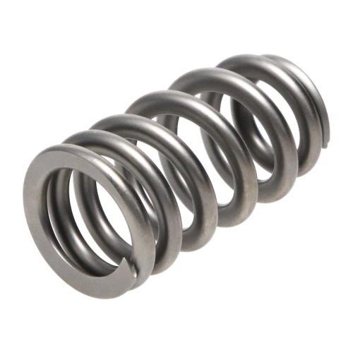 3483E158-C0D1-890B-D13F-BA594D7DB7A8 PAC RPM Series LS1 HP Ovate Beehive Valve Spring - Image 1
