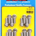 "3/8"" x .750 SS 12pt header bolt kit"