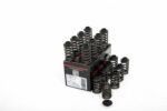 Piper Single Valve Spring Kit Inc Caps Ford 2.0L 16v ST170