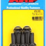 M10 x 1.25 x 25 12pt black oxide bolts (5pcs)