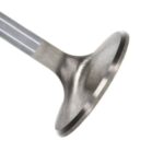 Manley Titanium Series BBC Exhaust Valve