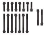 Manley Cyl Head Bolt Set, BOLTS-SB CHEVY HEAD - Image 4