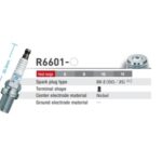 NGK Racing Spark Plug M14 x 19mm (Hex 16.0mm) 50.5mm