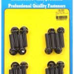 BB Chevy hex intake manifold bolt kit