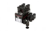 Piper Double Valve Springs Inc Caps Opel X14XE/X16XE