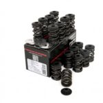 Piper Double Valve Springs Inc Caps Opel X14XE/X16XE