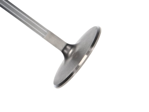 5082B334-E574-5B3F-0FBB-234A4B7ECE74 Manley SBC Intake Valve Kit 2.020 x 5010 x .3110 - Image 1