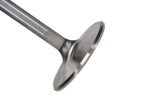 512BA90B-903A-72B5-368F-1898704C8AF8 Manley SBC Intake Valve 2.055 x 4911 x .3415 - Image 1
