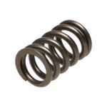 Manley Valve Spring MITSUBISHI 4G63/T