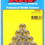 3/8-24 SS 12pt nut kit (10pcs)