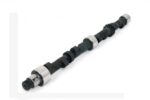 Piper Camshaft Volvo B18 Fast Road