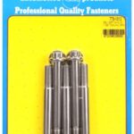 M10 x 1.25 x 100 12pt SS bolts (5pcs)