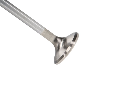5C06F1D2-4914-5353-1083-464B83C45A87 Manley SBC Exhaust Valve 1.600 4.950 .3136 - Image 1