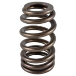 PAC BBC Ovate Beehive Valve Spring