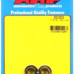 ARP 7/16"-20 12pt nut kit (2-pcs)