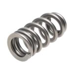 PAC Beehive RPM Series Valve Spring Ford Coyote 5.0 Drop in