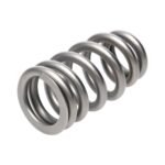 PAC RPM Series LS7 Drop in Beehive & Hemi SRT Exhaust Spring