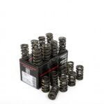 Piper Double Valve Springs Rover K Series 16v
