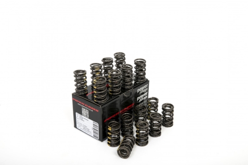 673481BA-59F5-8F53-6B86-90EDCF0C98F3 Piper Double Valve Springs Rover K Series 16v - Image 1