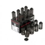 Piper Single Valve Spring Kit Ford 1.8/2.0 16v Zetec Blk Top