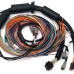 Haltech Nexus R3 Universal Wire-in Harness - 2.5m (8')
