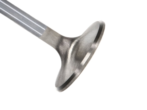 6AD039F6-3AC8-2ABB-CE37-6747D519104F Manley Titanium Series BBC Exhaust Valve Kit - Image 1