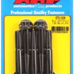 M10 x 1.25 x 60 12pt black oxide bolts (5pcs)