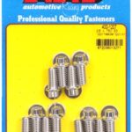 "3/8"" x .750 SS 12pt header bolt kit"