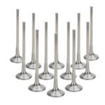 Supertech Valve Kit Exhaust Honda K20A/Z 30.00mm (std)Flat T