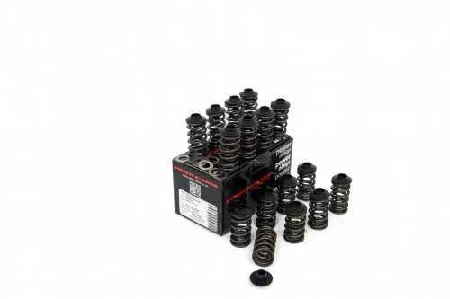 7245538E-A8E1-0C7F-9EDC-007CD0809ED4 Piper Double Valve Spring Kit Peu/Citr 1.6 16v TU5JP4 - Image 1