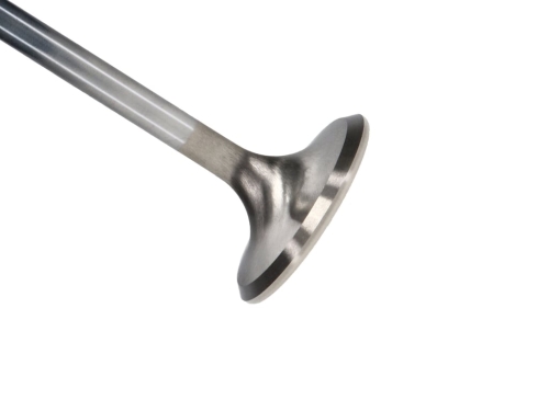 72B76A7B-C6E3-A431-5C06-A5FDF4EDBDE6 Manley SBC Exhaust Valve 1.500 x 5036 x .3415 - Image 1