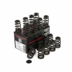 Piper Single Valve Spring Kit Opel A20NFT