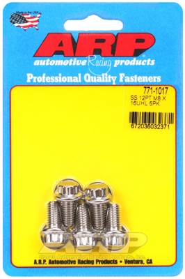 7E7DC0B0-565A-0562-5B35-961328855A1F M8 x 1.25 x 16 12pt SS bolts (5pcs) - Image 1