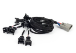 Haltech Nexus Rebel LS - LS EV1 Injector Sub Harness