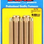 ARP Ford Mustang 2015 M14 1" over stock length WSK