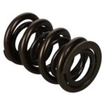 Manley Valve Spring 1.650 DOUBLE - Image 2
