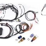 Haltech RB Twin CAM Main Harn, CAS Breakout, No Ignition Bre