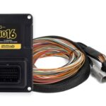 Haltech Nexus IO16 In/Output Exp. + Uni Wire in Harness 2.6m