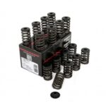 Piper Single Valve Spring Kit Ford 2.3L Ecoboost