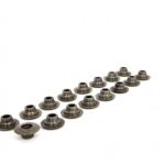 Piper Spring Caps Peugeot/Citroen 2.0L 16v EW10J4