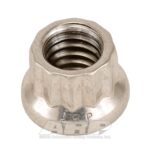 ARP Nut Kit 5/16-18 SS 12PT