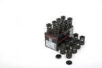 Piper Double Valve Springs Inc Caps Opel C20XE /C20LET