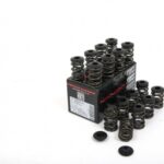 Piper Double Valve Springs Inc Caps Opel C20XE /C20LET