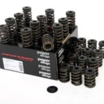 Piper Double Valve Springs Jaguar XJ6 3.8/4.2L 6-Cyl