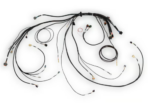 Haltech Nexus Rebel LS Terminated Harness for Rebel LS ECU