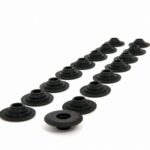 Piper Double Valve Spring Kit Ford 2.0L EcoBoost - Image 2
